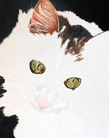 Painting of Cat in portrait