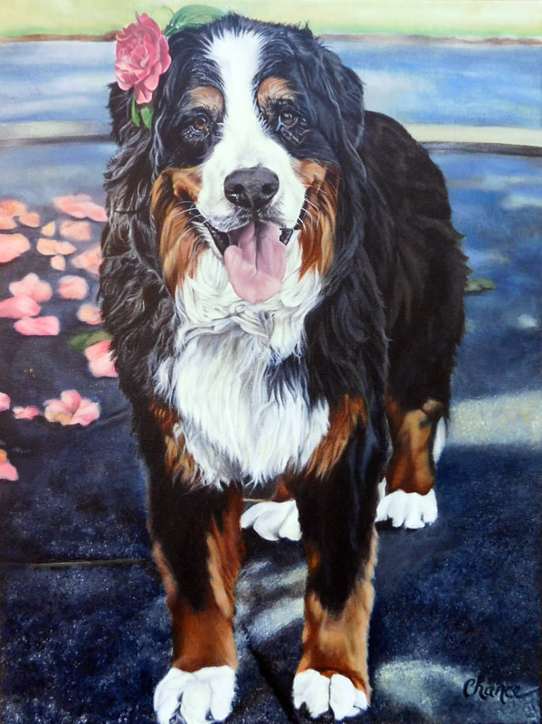 Painting of Bernese Mountain Dog, Portrait